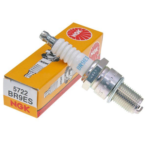 Bujia NGK BR9ES