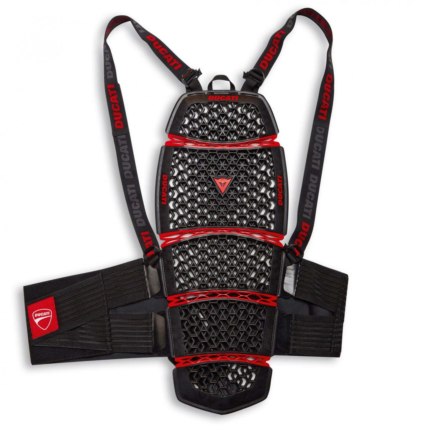 -Espaldera Ducati Company 4 Pro Armor