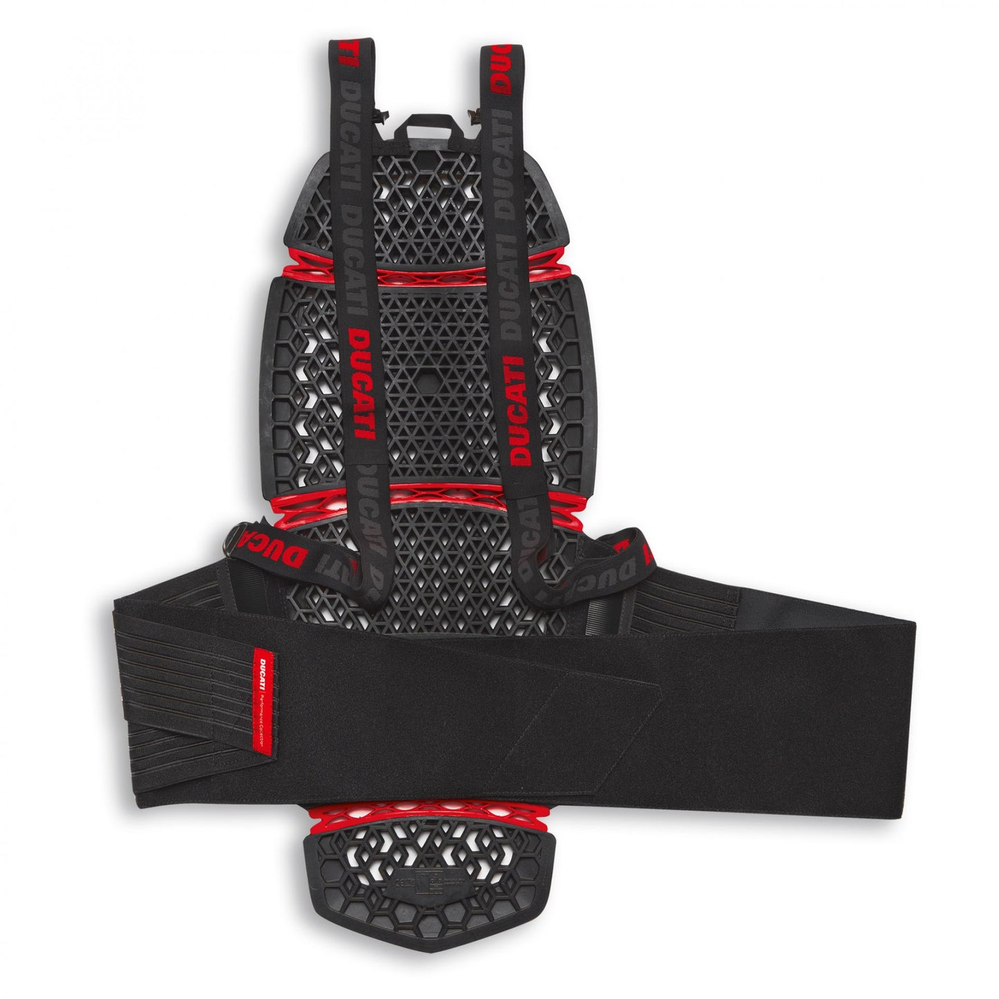 -Espaldera Ducati Company 4 Pro Armor