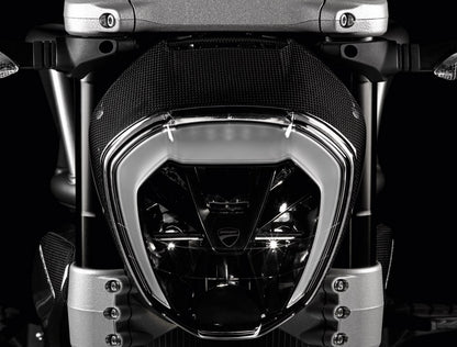 Borde faro delantero de carbono