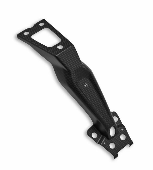 Soporte porta-matrícula de carbono